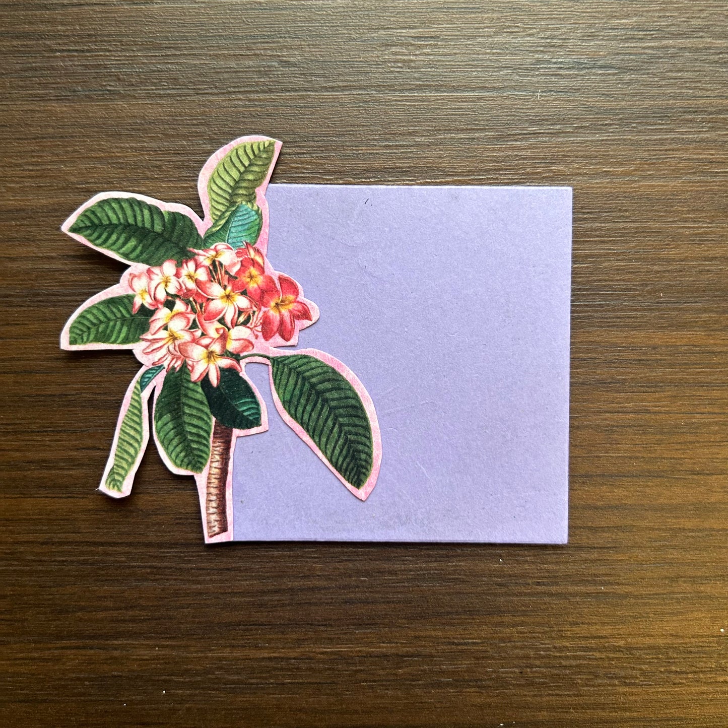 Frangi Pani Flower Tags