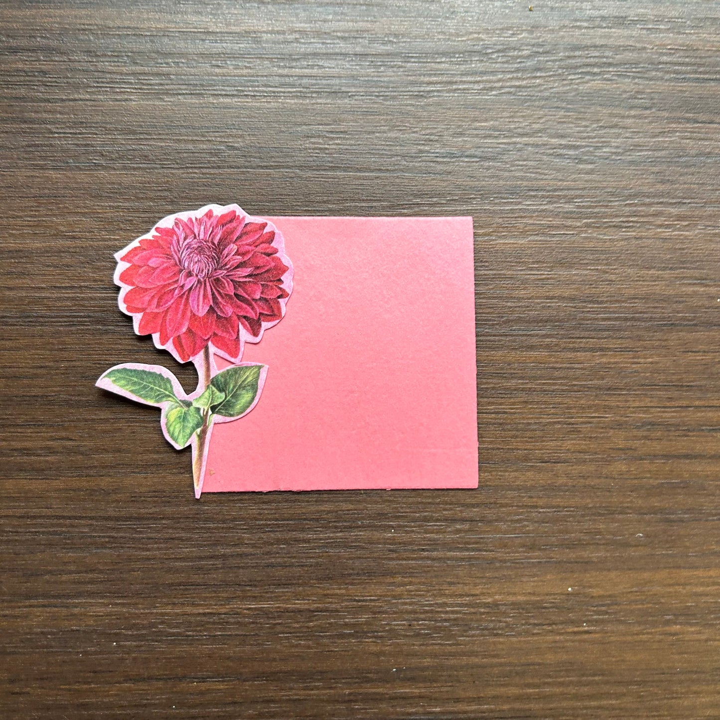 Dahlia Flower Tags