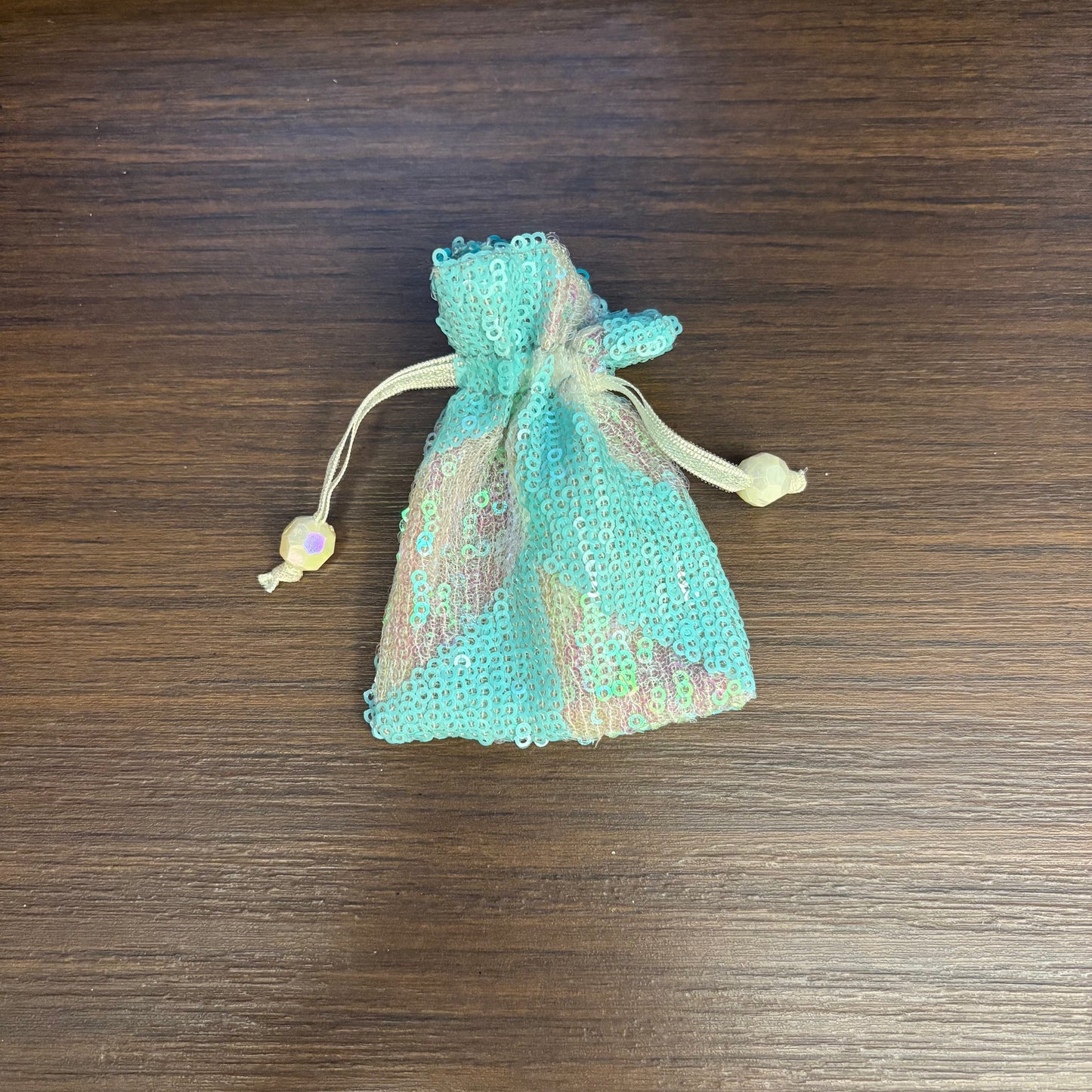 Sequin Coin Bag