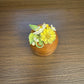 Wooden Ginni Box - Round