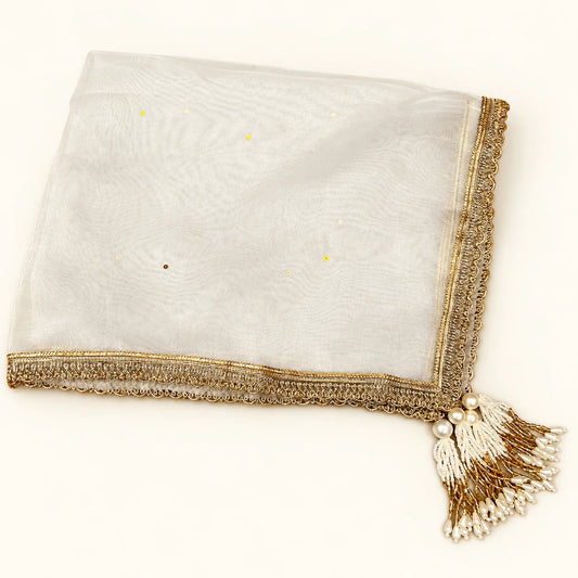 Blue Organza Tray Cover