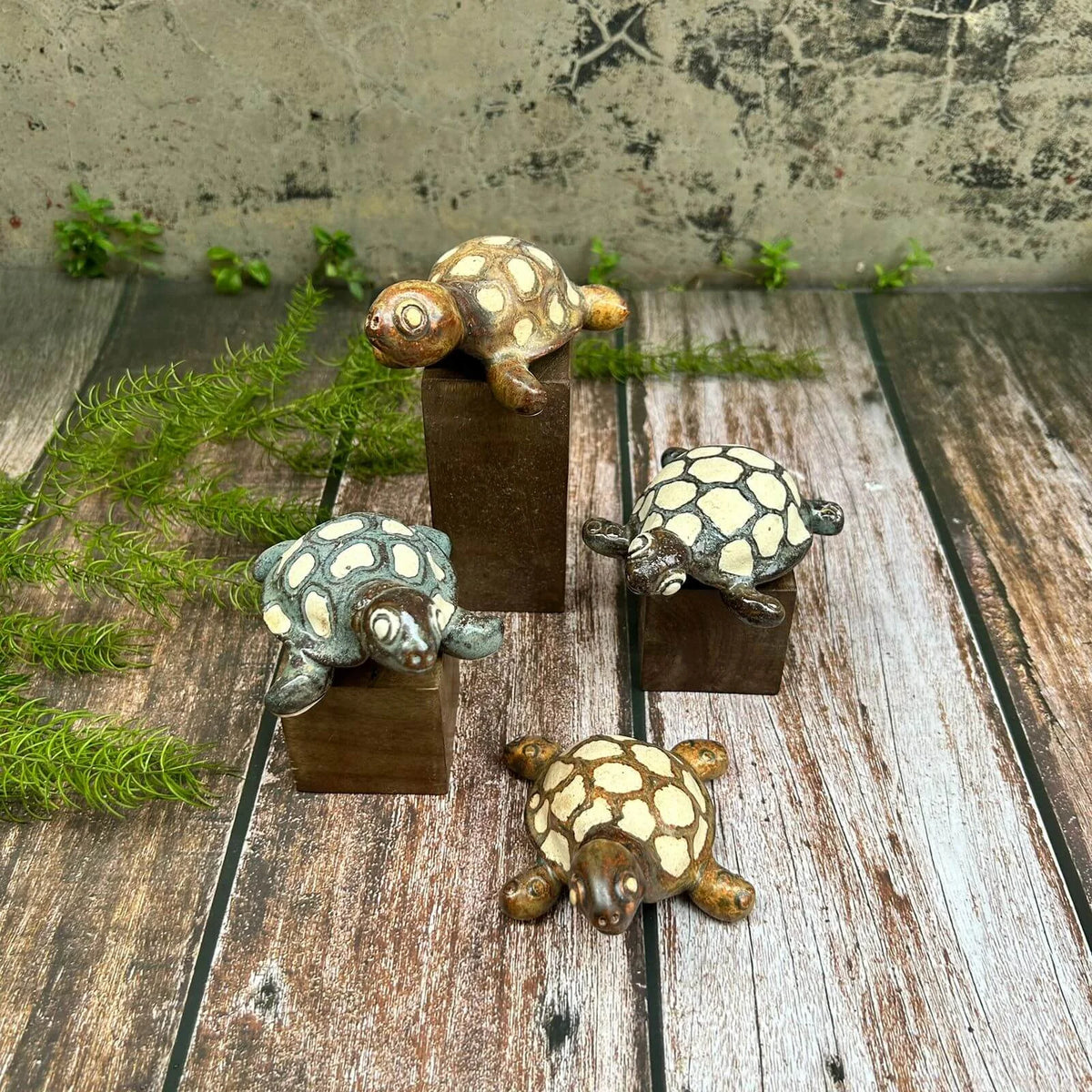 Ceramic Tortoise